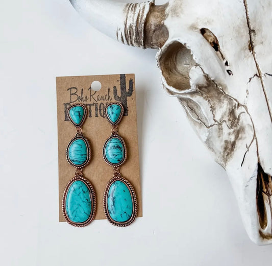 Western metal stoke drop earrings